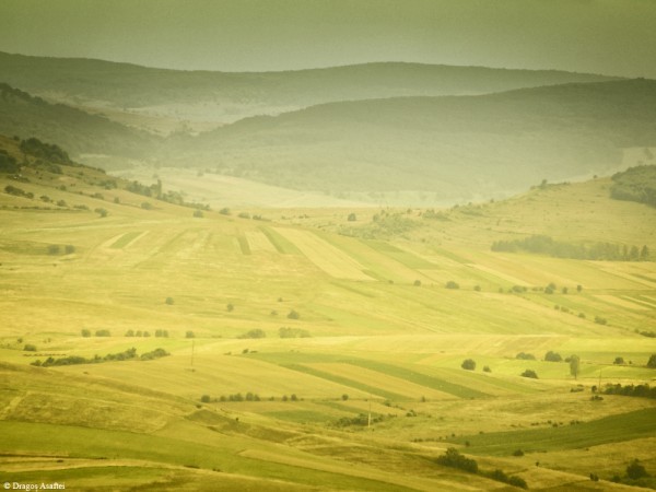 Nikkor AF-S 28-300mm f/3.5-5.6 VR