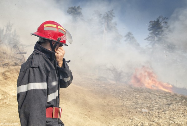 Incendiu de pădure în Odorheiu-Secuiesc