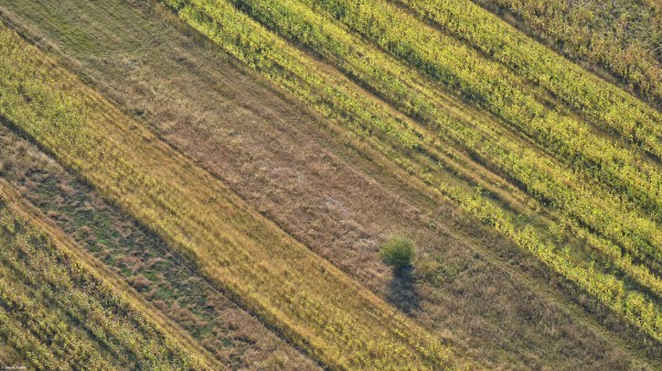 Zbor peste Transivlania: Forme ale pământului