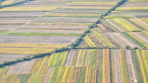 Zbor peste Transivlania: Forme ale pământului