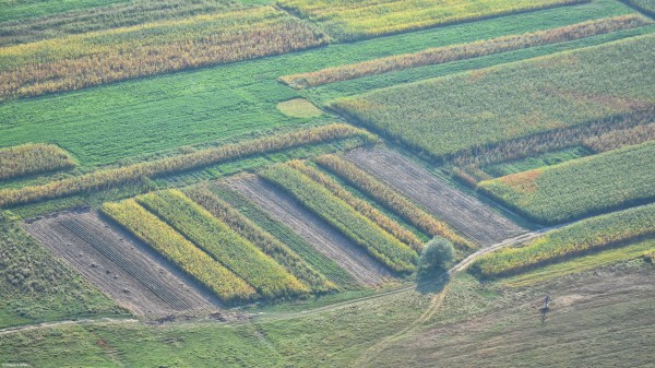 Zbor peste Transivlania: Forme ale pământului