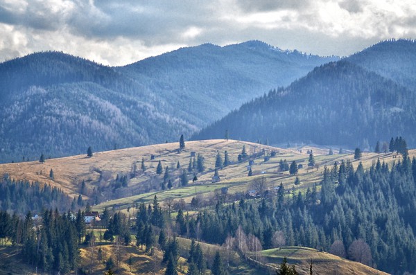 Munții Rodnei, Bucovina