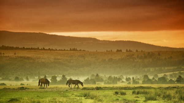 Homorod, Harghita (peisaj la răsărit) Cele mai bune peisaje din 2011