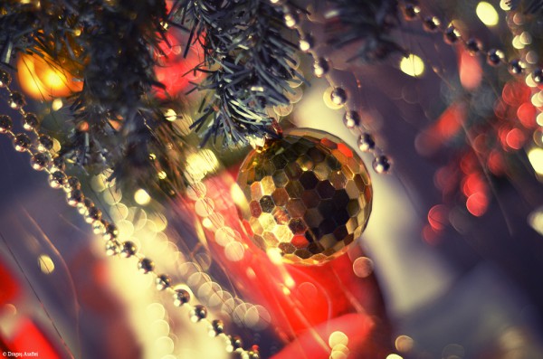 Pregătiri de Crăciun