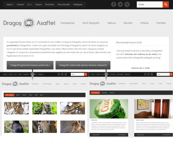 Portofoliu Dragoș Asaftei Portofoliu Dragoș Asaftei