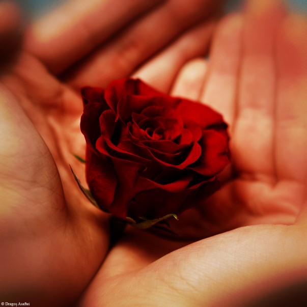 Cu dragoste, pentru Ea