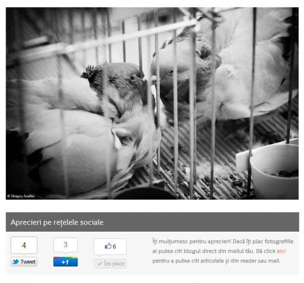 Aprecieri pe rețelele de socializare