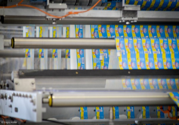 Vizită fabrica Danone - Linia de producție Vizită fabrica Danone - Linia de producție