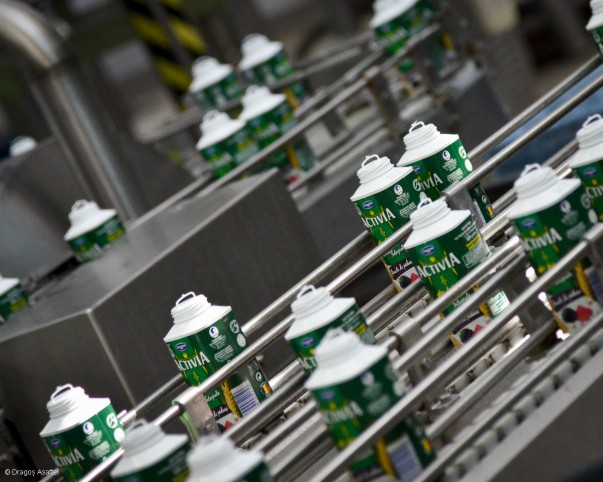 Vizită fabrica Danone - Linia de producție Vizită fabrica Danone - Linia de producție