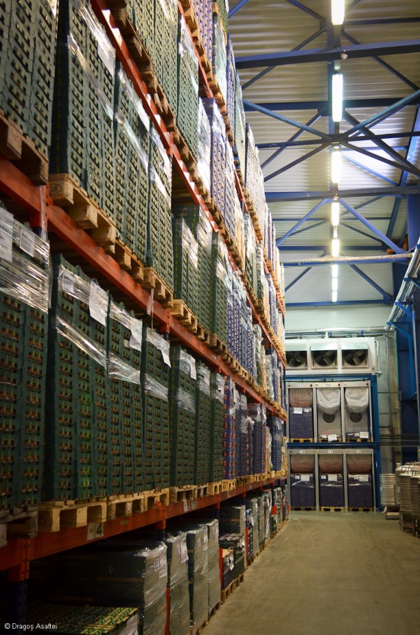 Vizită fabrica Danone - Depozit Vizită fabrica Danone - Depozit