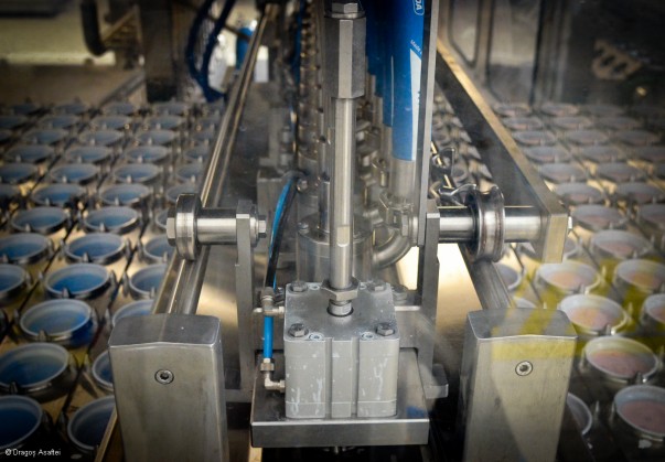 Vizită fabrica Danone - Linia de producție Vizită fabrica Danone - Linia de producție