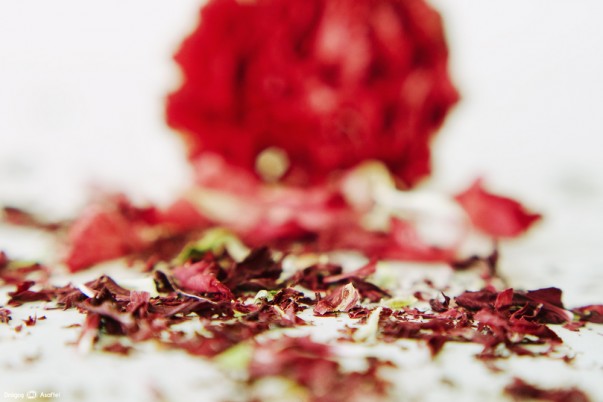 Un alt aspect al vieții