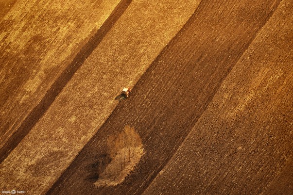 Munca agricolă fotografiată din zbor