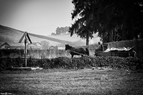 Poveste prin fotografie