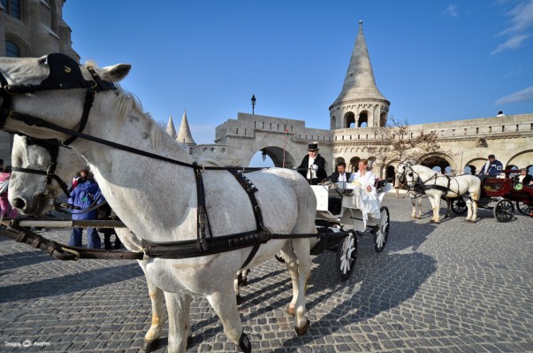 Scenes from Budapest