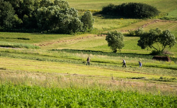 Peisaj cu Nikon D4 - 1/250s, f/4, ISO 50