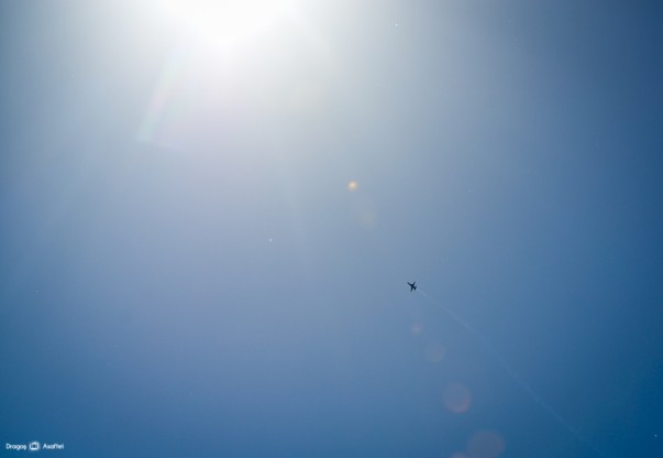 Mulțumesc sportivilor români! : -)