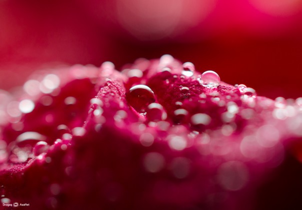 sunt-atat-de-multe-sperante-01