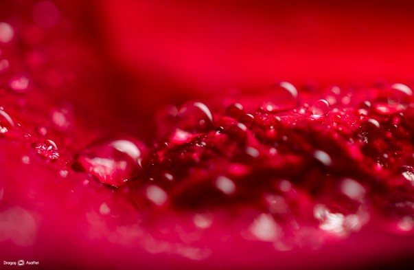 sunt-atat-de-multe-sperante-02