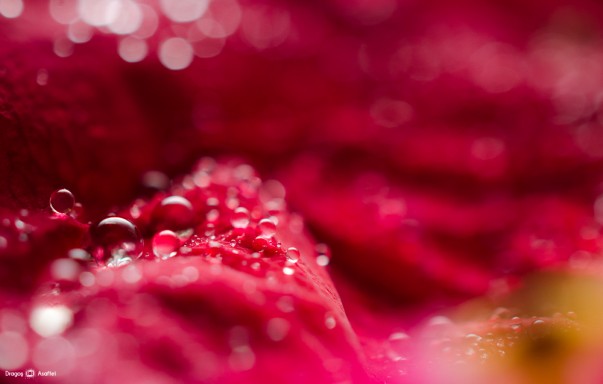 sunt-atat-de-multe-sperante-03