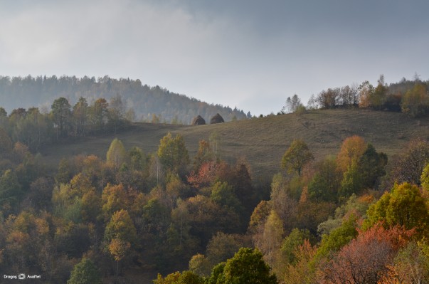 Tabăra de Fotografie pentru Bloggeri - Satul Plopi, Apuseni