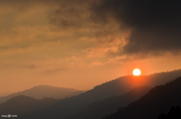 Tabăra de Fotografie pentru Bloggeri - Satul Plopi, Apuseni