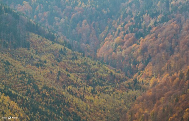 Tabăra de Fotografie pentru Bloggeri Tabăra de Fotografie pentru Bloggeri