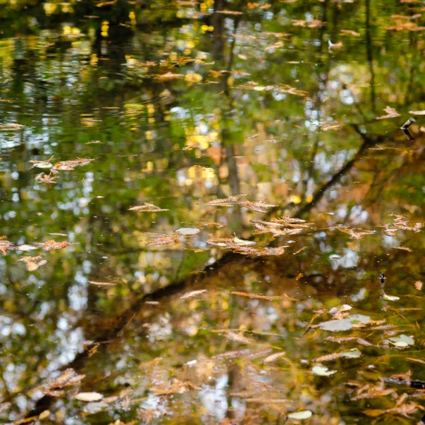 Poveste prin fotografie