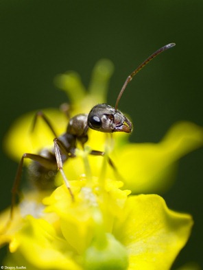 Puterea de care avem nevoie în fiecare zi