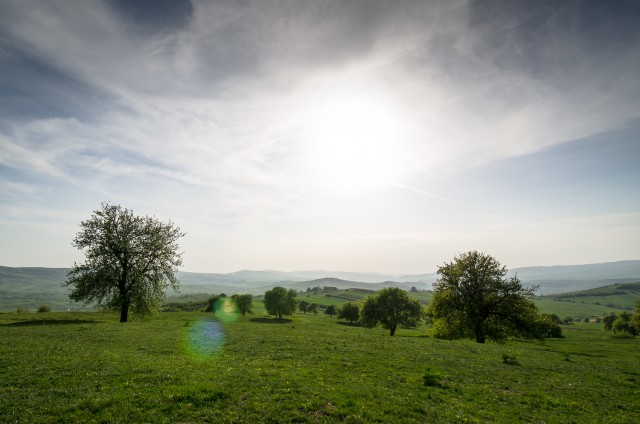 Primele peisaje ale verii