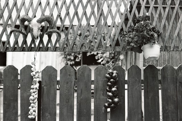 Fotoreportaj pe film alb-negru #prinSibiulmeu Fotoreportaj pe film alb-negru #prinSibiulmeu