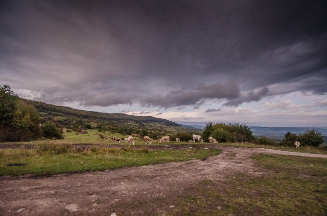 Fotografii de la statuia Inima lui Iisus Fotografii de la statuia Inima lui Iisus