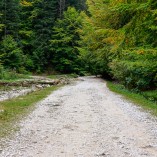 Cheile Zăneștiului - Piatra-Craiului