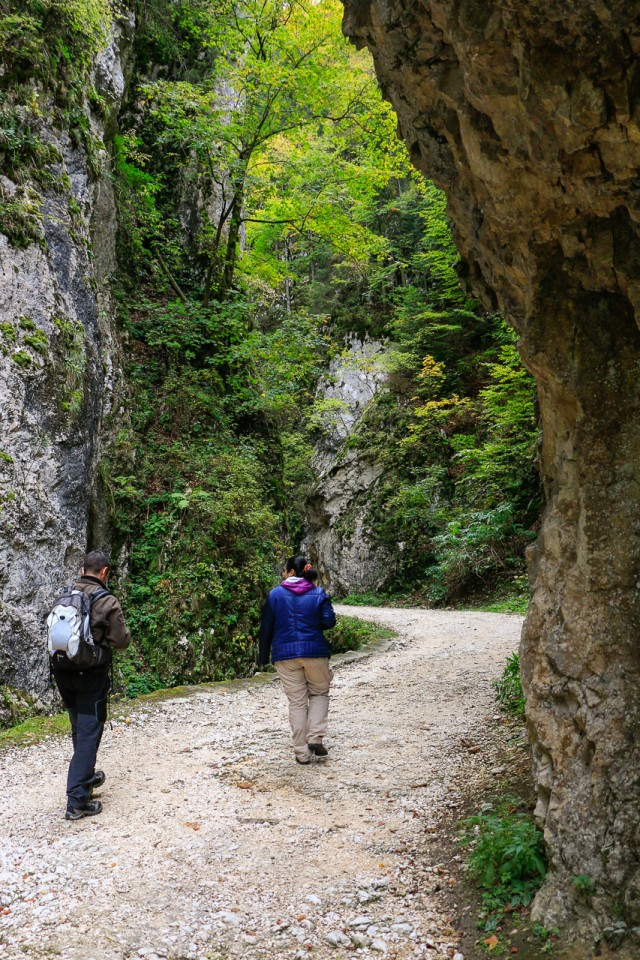 Cheile Zăneștiului - Piatra-Craiului