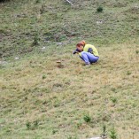 Narcisa Suruianu - Plaiul Foii - Piatra-Craiului