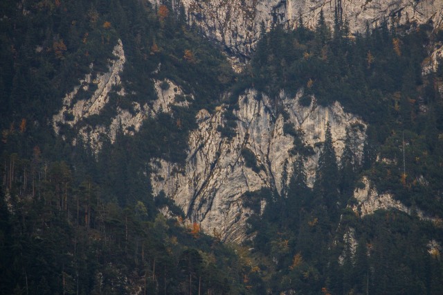 Plaiul Foii - Piatra-Craiului