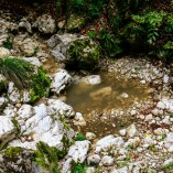 Cheile Zăneștiului - Piatra-Craiului