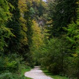 Cheile Zăneștiului - Piatra-Craiului