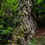 Cheile Zăneștiului - Piatra-Craiului