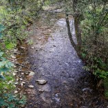 Plaiul Foii - Piatra-Craiului