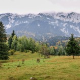 Plaiul Foii - Piatra-Craiului