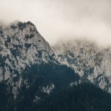 Plaiul Foii - Piatra-Craiului