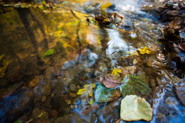 Peisajele și culorile toamnei în fotografii Peisajele și culorile toamnei în fotografii