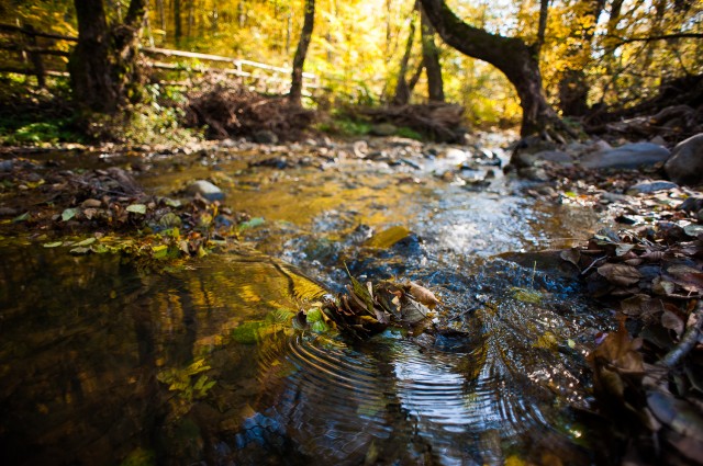 Peisajele și culorile toamnei în fotografii Peisajele și culorile toamnei în fotografii
