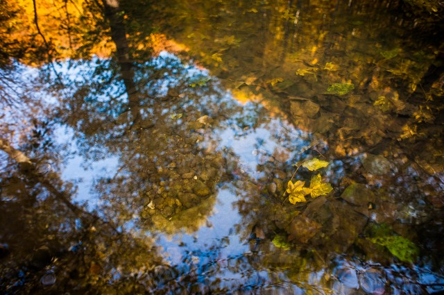 Peisajele și culorile toamnei în fotografii Peisajele și culorile toamnei în fotografii