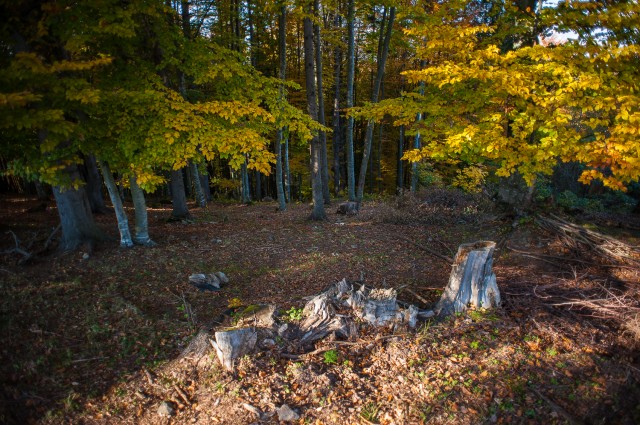 Peisajele și culorile toamnei în fotografii Peisajele și culorile toamnei în fotografii