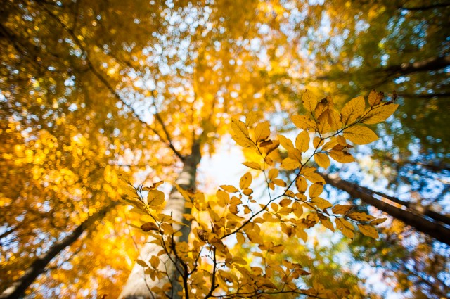 Peisajele și culorile toamnei în fotografii Peisajele și culorile toamnei în fotografii
