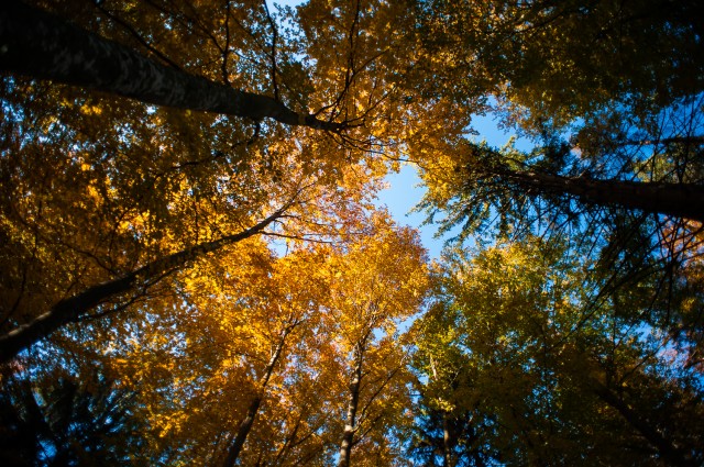 Peisajele și culorile toamnei în fotografii Peisajele și culorile toamnei în fotografii