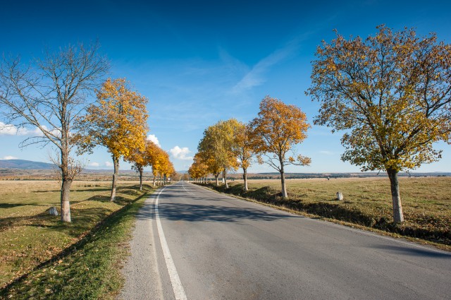 Peisajele și culorile toamnei în fotografii Peisajele și culorile toamnei în fotografii