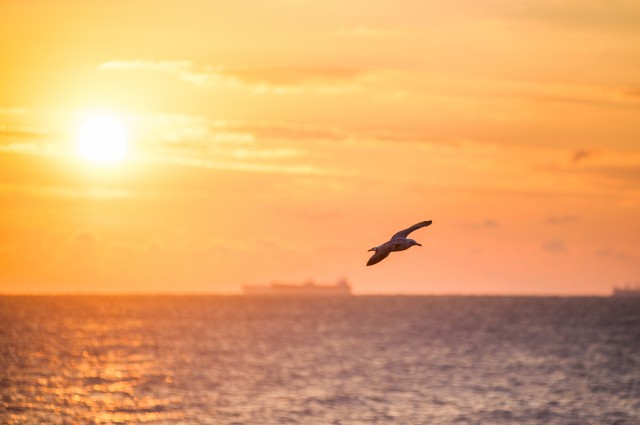 fotografii-octombrie-constanta-16